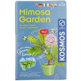 Thames & Cosmos Grow Your Own Mimosa Garden Children's Kit