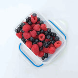 Addis 550Ml Rectangle Clip Tight