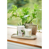 Aery Botanical Fig Leaf Scented Candle