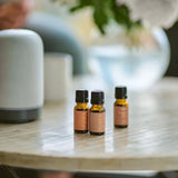 Aery Wanderlust Fragrance Oil Set 3x10ml