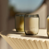 Ashley & Co Candle Tui & Kahili