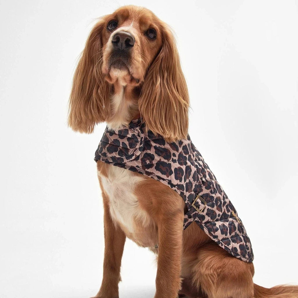Barbour girl dog coat deals