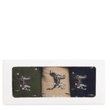 Barbour Pointer Dog Socks Gift Box in Forest Mist