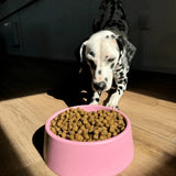 BECO Steady Dog Bowl In Blue