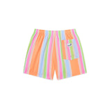 Boardies Citrus Stripe Swim Shorts in Multi