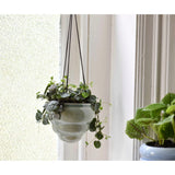 Burgon & Ball Baby Bombini Hanging Vases
