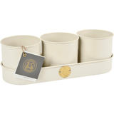 Burgon & Ball Sophie Conran Herb Pots in Buttermilk