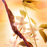 Charlotte Tilbury Joyphoria Eau De Parfum