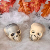 Choc On Choc Chocolate Skull Set