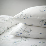 Christy Forget Me Knot Oxford Pillowcase Pair in Blue/White