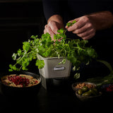 Cole & Mason Burwell Self-Watering Potted Herb Keeper