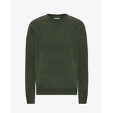 Colorful Standard Classic Organic Crew In Midnight Forest
