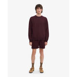 Colorful Standard Classic Organic Crew In Oxblood Red