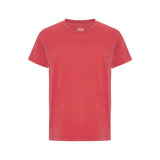 Colorful Standard Classic Organic Tee In Faded Red