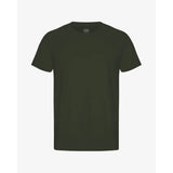 Colorful Standard Classic Organic Tee In Hunter Green