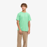 Colorful Standard Men's Organic Classic Short Sleeve T-Shirt In Spring Green