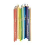Crayola Pastel Coloured Pencils 12 Pack
