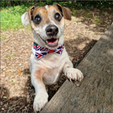 Creature Clothes Mini Dog Bow Tie In Union Jack