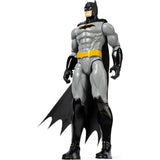 Batman 12 inch Action Figure (One at Random)