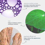 Dermalogica Stabilizing Repair Cream