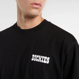 Dickies Plain City Lightweight T-Shirt In Black