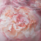 Dreams & Drapes Soiree Rose Bloom Print 100% Cotton 200 Thread Count Duvet Cover Set