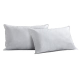 Dreamworld Feels Like Down Pillow Pair