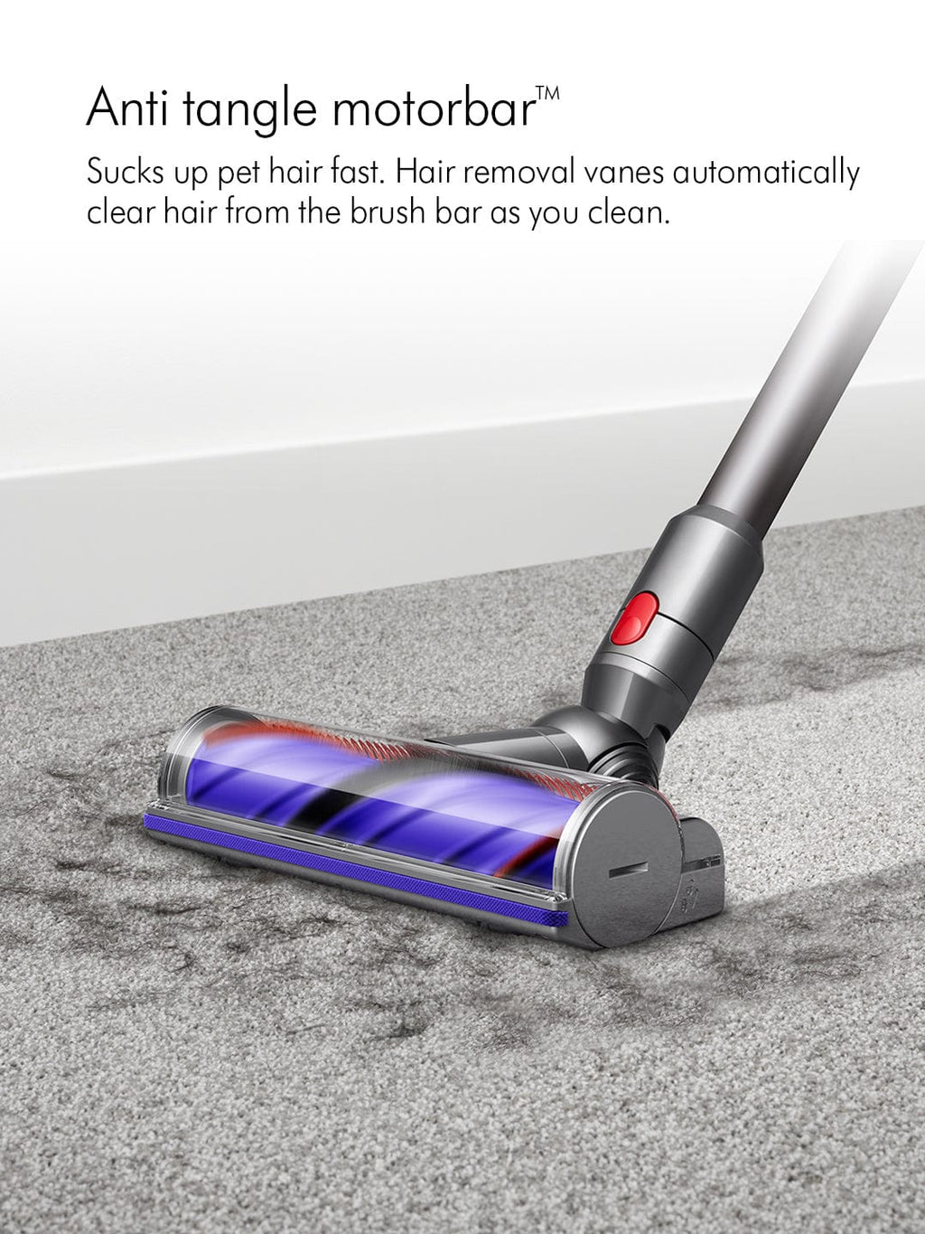 dyson vacuum absolute
