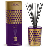 Esteban Figue noire Decorative Reed Diffuser 100ml
