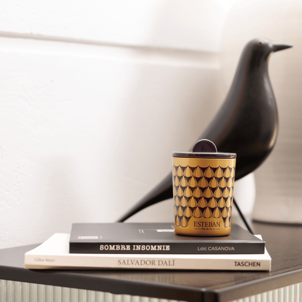 Esteban Figue noire Scented Decorative Candle 180g