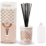 Esteban Iris cachemire Decorative Reed Diffuser 100ml