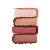 Estée Lauder Pure Color Envy Luxe Eyeshadow Quad