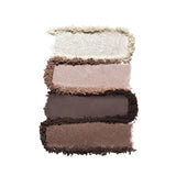 Estée Lauder Pure Color Envy Luxe Eyeshadow Quad