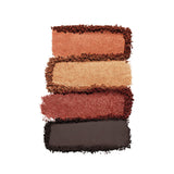 Estée Lauder Pure Color Envy Luxe Eyeshadow Quad