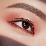 Estée Lauder Pure Color Envy Luxe Eyeshadow Quad