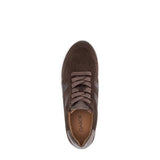 Gabor Sneaker In Cacao