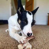 Green & Wilds Easy Antler Chew - Medium