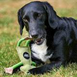 Green & Wilds Francois Le Frog, Eco Toy