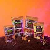 Green & Wilds Trick or Tiddlers Cats, 40g