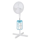 Igenix 16 Inch Pedestal Fan In White