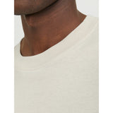 Jack & Jones Bradley Oversized T-Shirt in Moonbeam