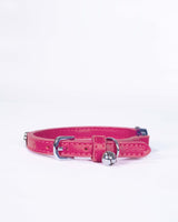 Joules Cambridge Floral Cat Collar Twin Pack