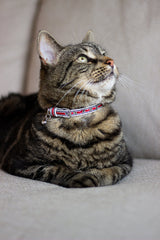 Joules Coastal Cat Collar Twin Pack