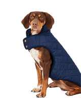 Joules Navy Newdale Quilted Dog Coat