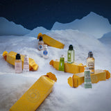 L'Occitane Festive Cracker Collection