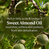 L'Occitane Luxury Size Almond Shower Oil Pump 500ml