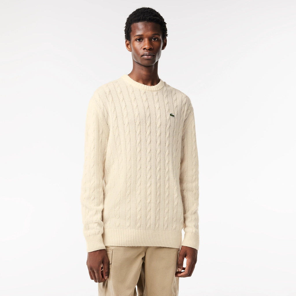 Lacoste wool crew best sale neck jumper