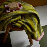 Land & Shore Grass Stripe Towels in Multi