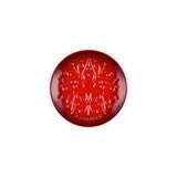 Le Creuset Stoneware Christmas Plate L'Etoile In Cerise