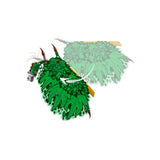 LEGO NINJAGO® The Dragon of Life